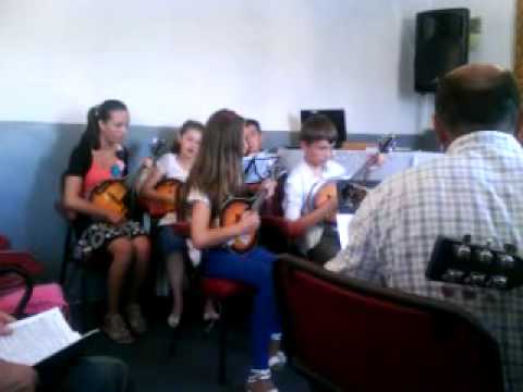 Orchestra mandoline - Cosniciu de Jos