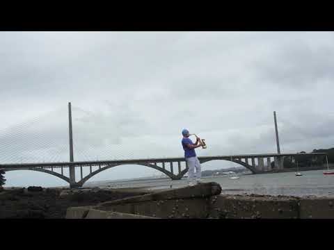 Tones and I - Dance Monkey ( Cover Saxo alto ) par agent du Covid