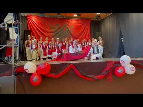 Le Canton27.ch: VV me mijera mergimtare ne Zvicer feston Diten e Flamurit - 28 Nentorin 2023