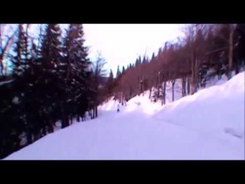 THE POWER OF FRETLESS BASS