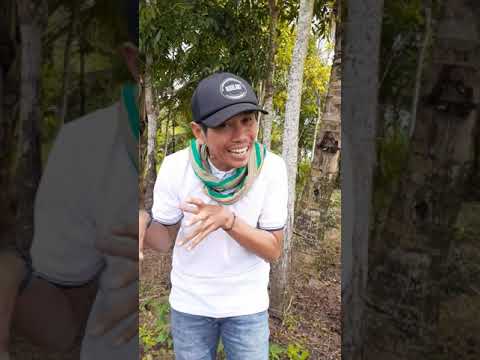 Kamu adalah Garam dunia