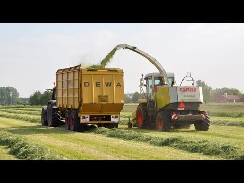 Loonwerk Baeke-Willems - Claas Jaguar 890 - gras hakselen