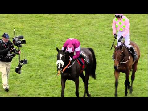 2016 Timico Gold Cup - Don Cossack - Racing TV
