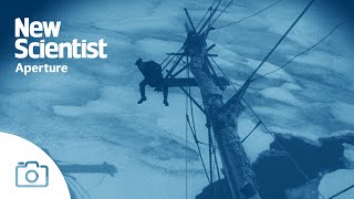 Restored BFI footage shows Shackletons Endurance s