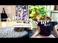 living alone in India | life of Indian girl | Aesthetic vlog ☁️🍃| Simple life | Cooking Cleaning