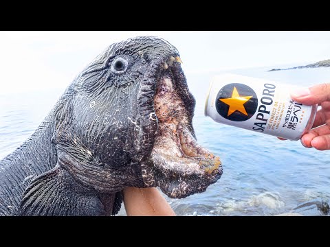 ゴジラみたいな、破壊力がバケモンすぎる生物を捕獲！