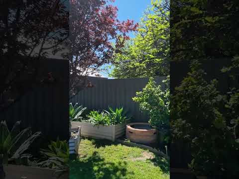 15 Causby Crescent, Willaston, SA 5118, 3 રૂમ, 1 બાથરૂમ, House