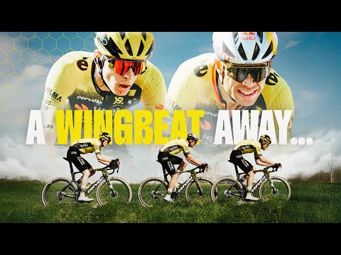 Our Spring Classics: A Wingbeat Away From Victory - Inside The Beehive 🐝