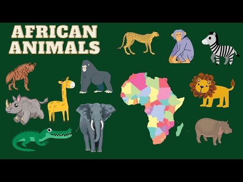African animals for kids