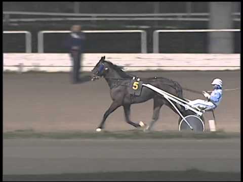 Trotto 08/01/2015 - 6° corsa