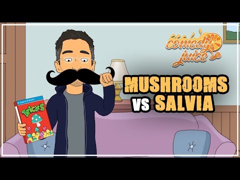 Mushrooms vs Salvia - Myq Kaplan - Comedy Juice