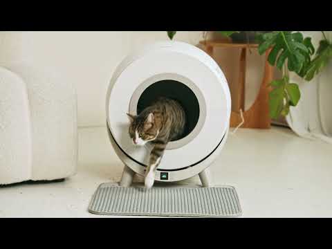 Nie wieder schaufeln mit der einfachsten automatischen Katzentoilette | Revo-loo One