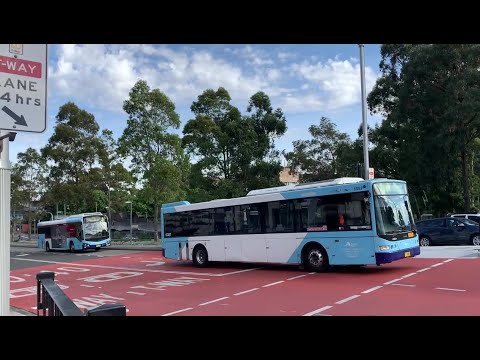 2190ST Transport Vlog 222: [CDC Hillsbus & Transit Systems Liverpool] Westmead Bus Spotting