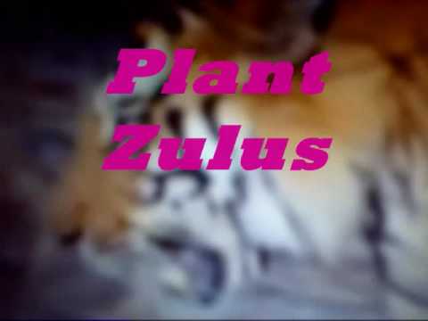 Afrika Bambaataa Planet Rock Remix Video