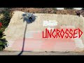 Deathwish Skateboards UNCROSSED Full Length Video