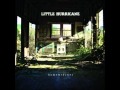 Little Hurricane - Lies 
