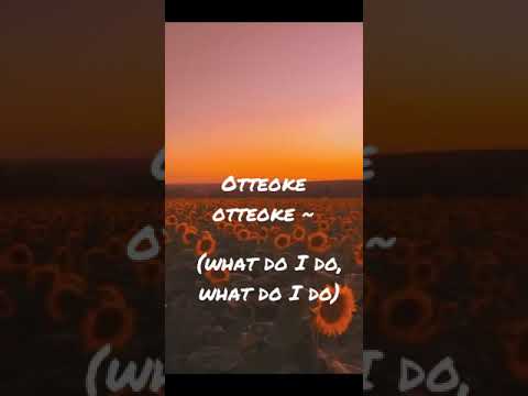 Ottoke Song |Aesthetic video|Ottoke lyrics |ottoke lyrics English translation|