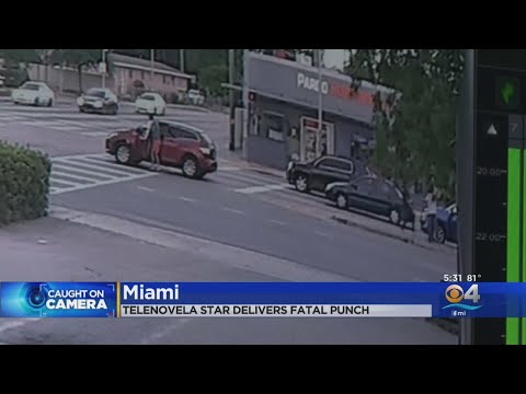 Surveillance Video Captures Punch Which Resulted In Death