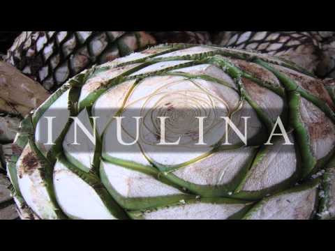 download lagu mp3 mp4 Mimex, download lagu Mimex gratis, unduh video klip Mimex