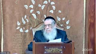 הרה"ג הרב וועכטר שליט"א ב' אדר תשפ"ה - ליקוטי שיחות חלק כ"ה שיחה תצווה ז' אדר חלק א (הרב אברהם מנחם מענדל וכטר) - התמונה מוצגת ישירות מתוך אתר האינטרנט יוטיוב. זכויות היוצרים בתמונה שייכות ליוצרה. קישור קרדיט למקור התוכן נמצא בתוך דף הסרטון