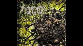 Abdicate - Burning Ascendance - Fragmented Atrocities 2013