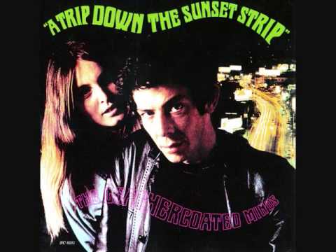 THE LEATHERCOATED MINDS - A Trip Down The Sunset Strip (full album) (1967)