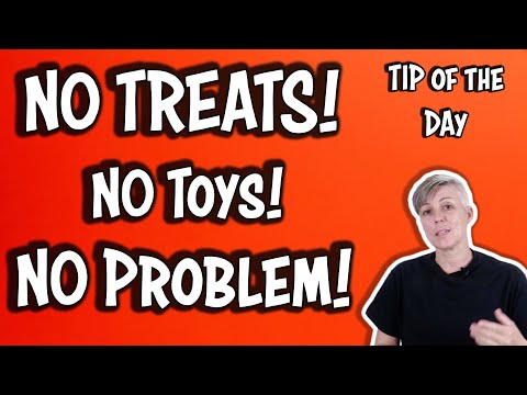 What is Clicker Training