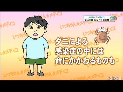 ダニ媒介疾患 - 定義