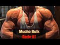 Mucho Bulk Serie #1 || Bizeps - Trizeps Training !