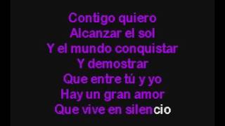 Amor Secreto   Luis Fonsi Karaoke