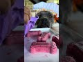 Sorvete De Morango Iogurte Natural E Chia Nossa Rotina Americanbully