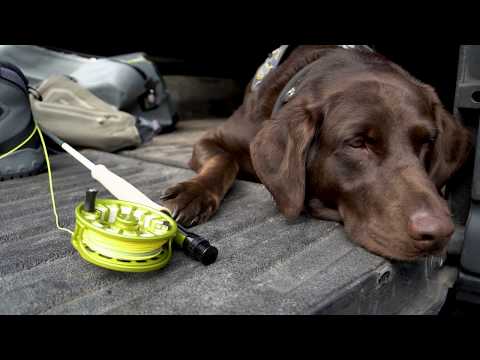 ORVIS Presents: Saved By Axe