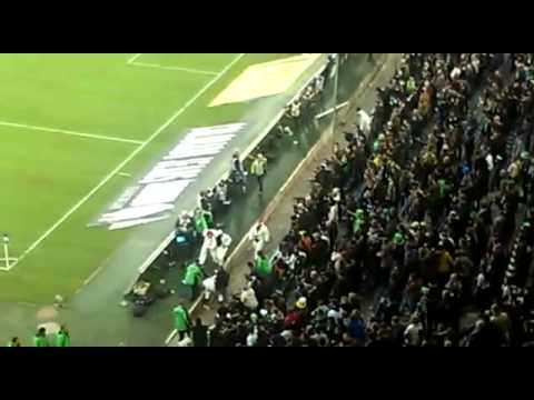 Kölner Fans stürmen Platz nach Derbysieg BMG-FC KÖLN 14.02.2015