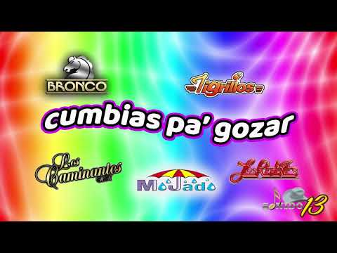 CUMBIAS -  PA GOZAR MIX