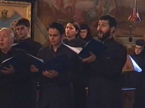 Cred, Doamne - Stefan ANDRONIC