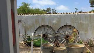 My Highway of Dreams