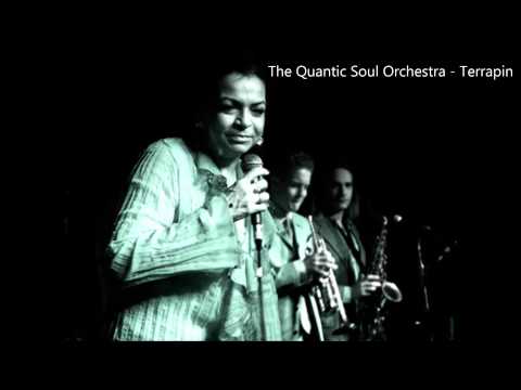 The Quantic Soul Orchestra - Terrapin HD