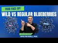 "Violet Beauregarde Approved! Food Face Off Challenge: Wild Blueberries vs. Regular Blueberries.