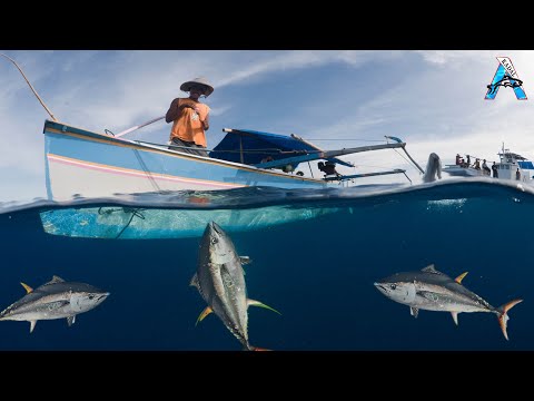 Amazing Giant Eel Fishing Skill on the Sea | @FISH_TV