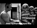 Ляпис Трубецкой Клоуна Нет (piano cover) 