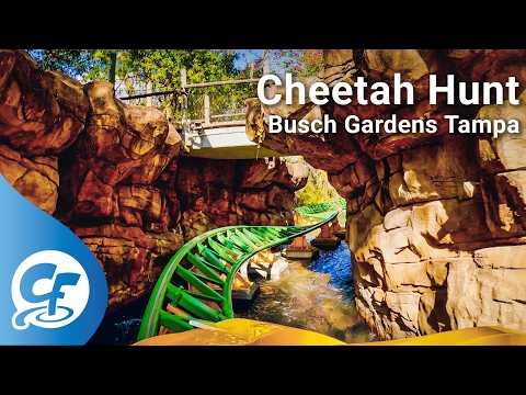 Video: Cheetah Hunt front seat on-ride 5K POV @60fps Busch Gardens Tampa — Busch Gardens Tampa Bay in Tampa