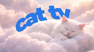 Cat TV -  Ultimate Videos for Cats | Birds, Wildlife & Calming Music for Relaxation and Quiet