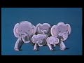 Just So Stories By Rudyard Kipling 1987