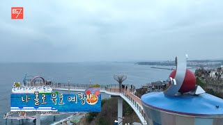 혼자라서 더 좋은, 나 홀로 묵호 여행! / 강원매거진7 / [떠나고 싶은 금요일] / G1방송 / 260123