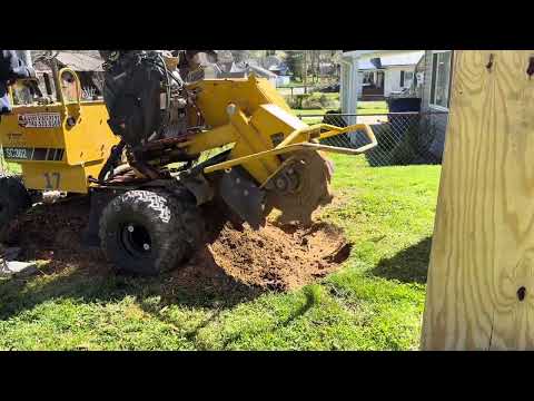 Grinding a small stump in Portsmouth, Ohio
