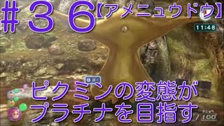 【ピクミン3】 ピクミンの変態がミッションでプラチナを狙うpart36・ボス”アメニュウドウ”タイム4:23【ライジング】