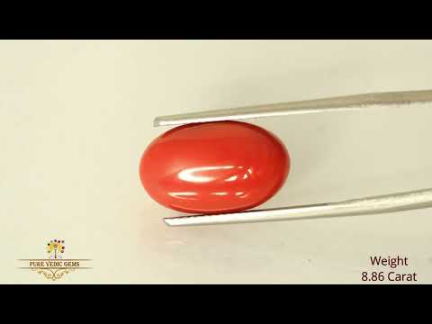 Japanese Red Coral 8.88ct-On Demand video