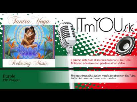 Fly Project - Purple