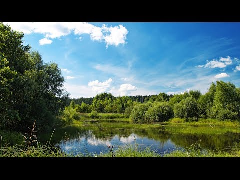 Мой дом Россия - Александр Маршал