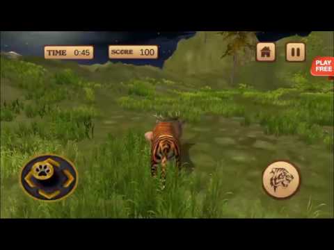 Wild Tiger Attack Simulator 3D Video